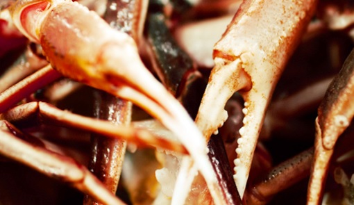 Gulf Coast Casinos Restrict Crab Leg Buffets to Weekends; Add Price Increases as Cost Rise 70%
